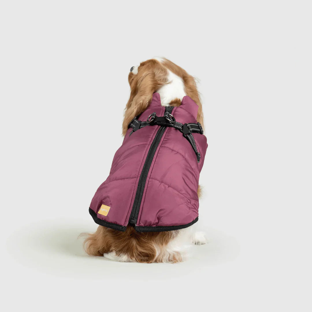 PawfectGuard™ 3-i-1 Hundejakke – Ultimat Beskyttelse, Stil & Komfort!