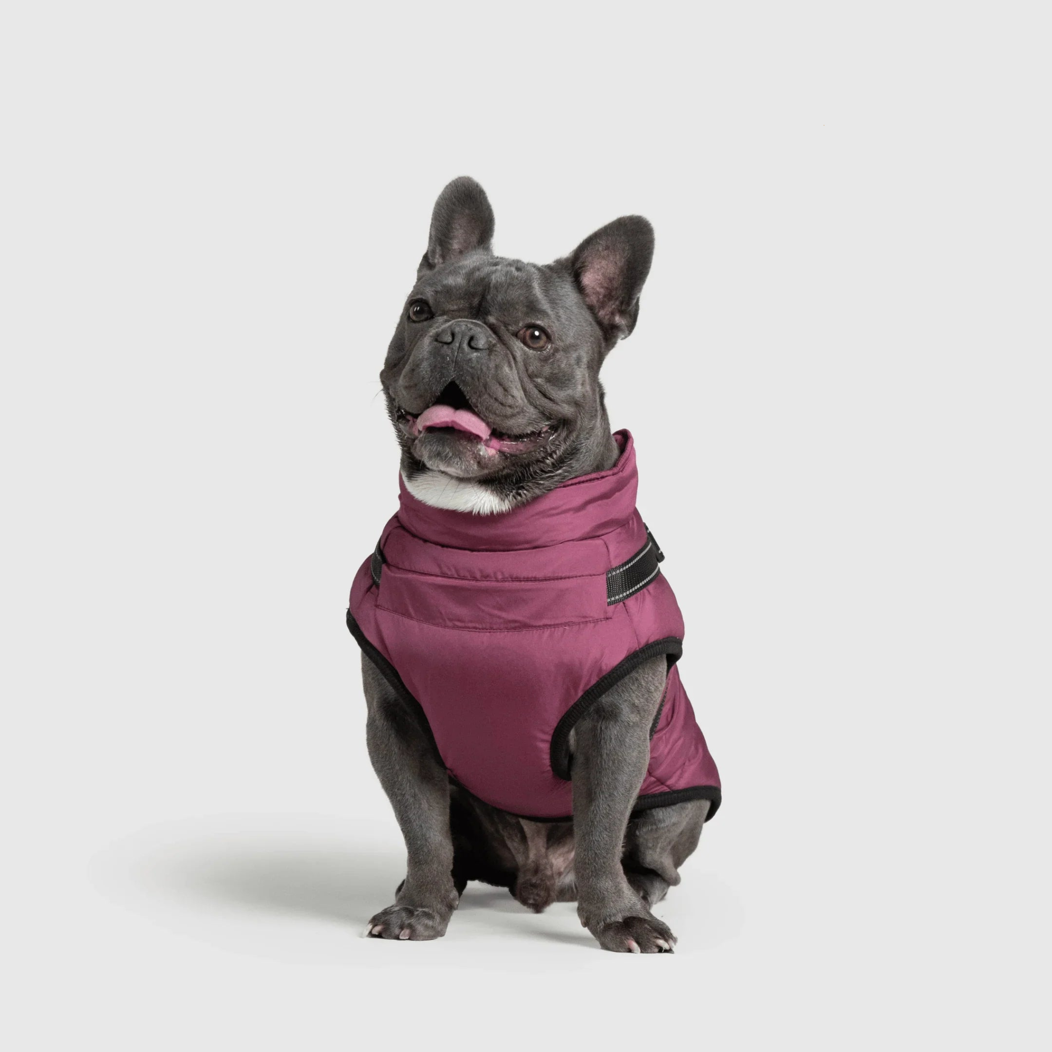 PawfectGuard™ 3-i-1 Hundejakke – Ultimat Beskyttelse, Stil & Komfort!