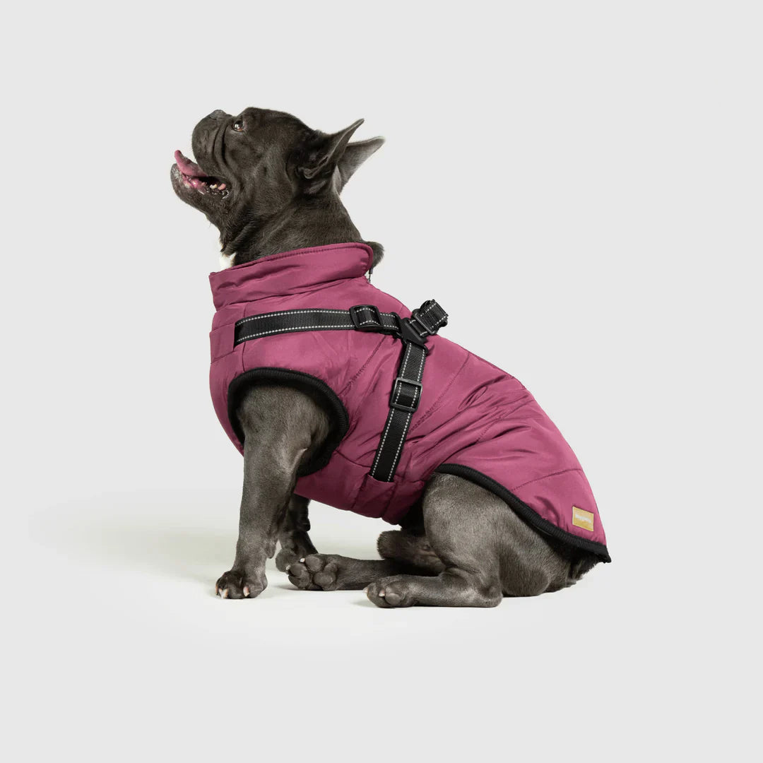 PawfectGuard™ 3-i-1 Hundejakke – Ultimat Beskyttelse, Stil & Komfort!