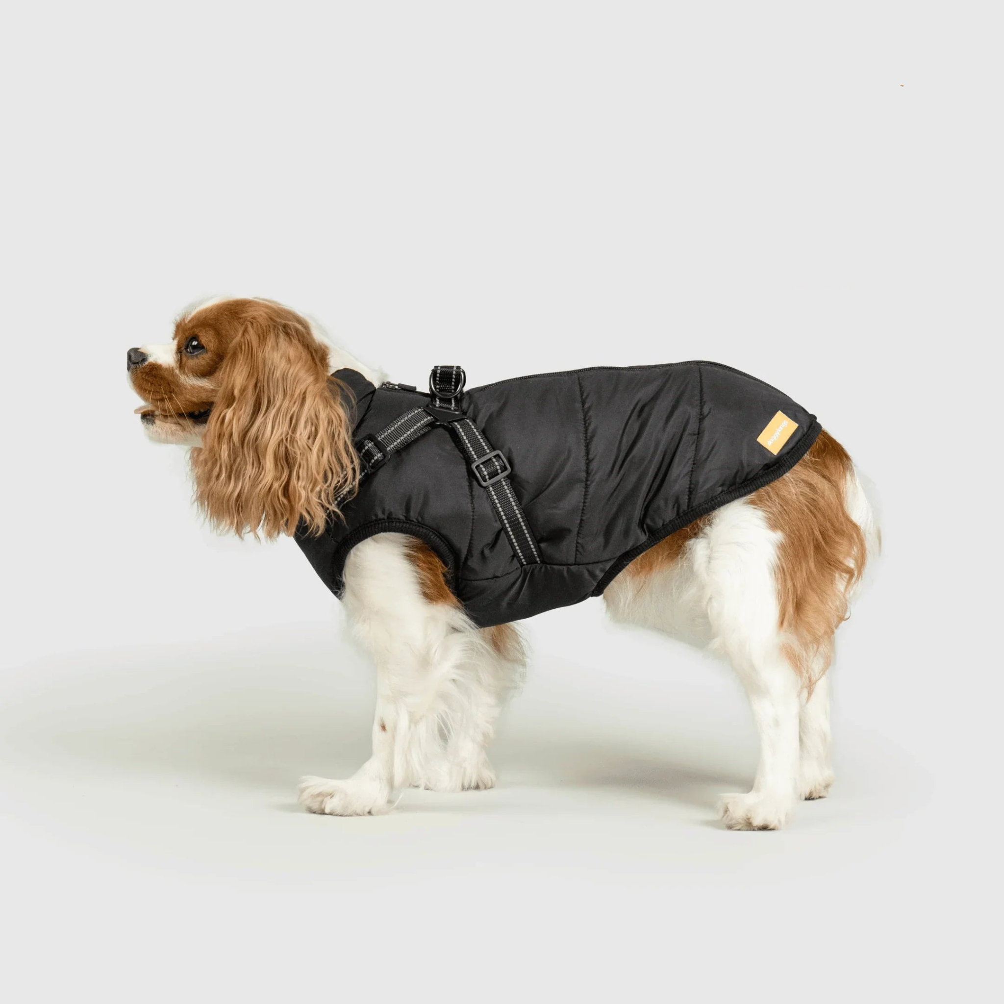 PawfectGuard™ 3-i-1 Hundejakke – Ultimat Beskyttelse, Stil & Komfort!