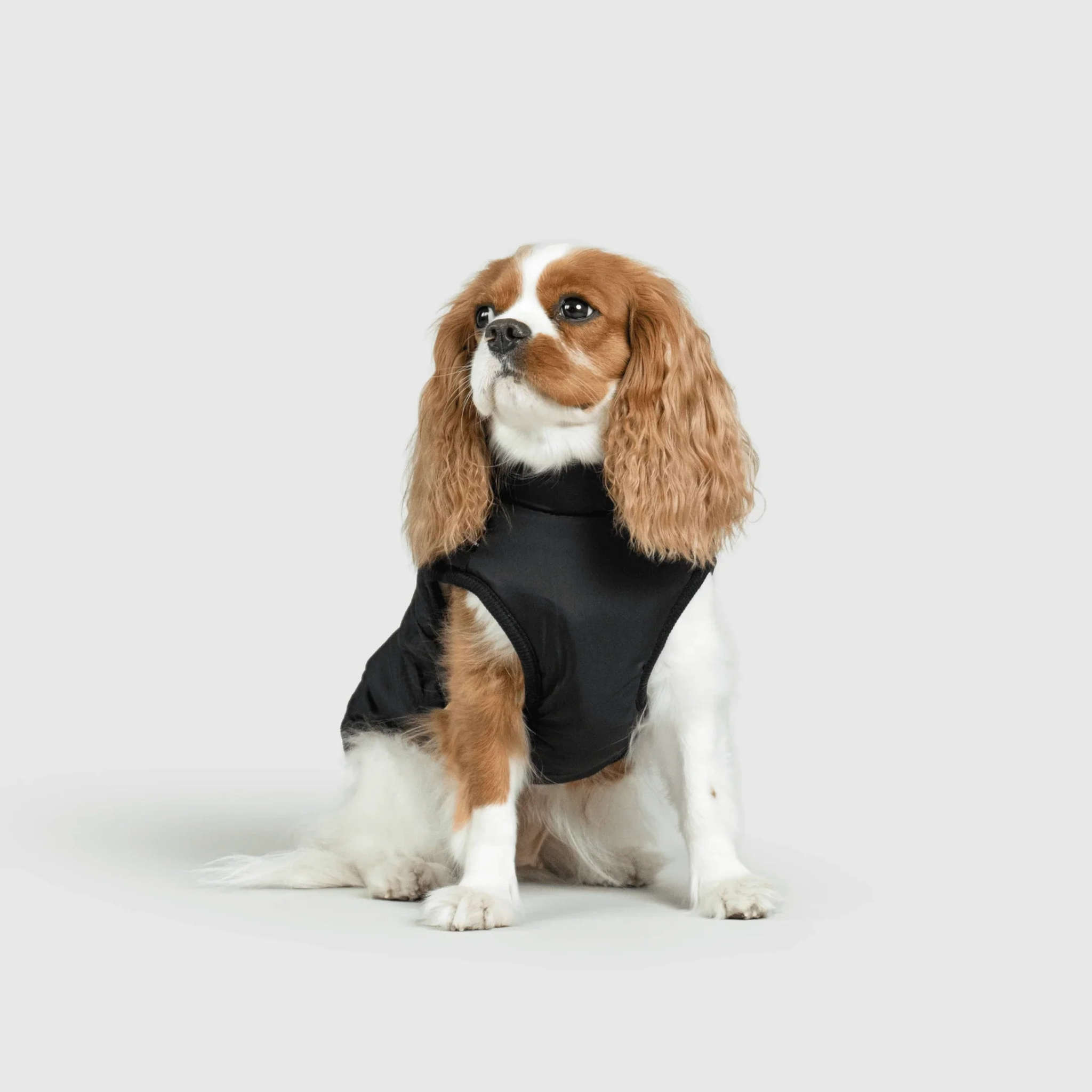 PawfectGuard™ 3-i-1 Hundejakke – Ultimat Beskyttelse, Stil & Komfort!