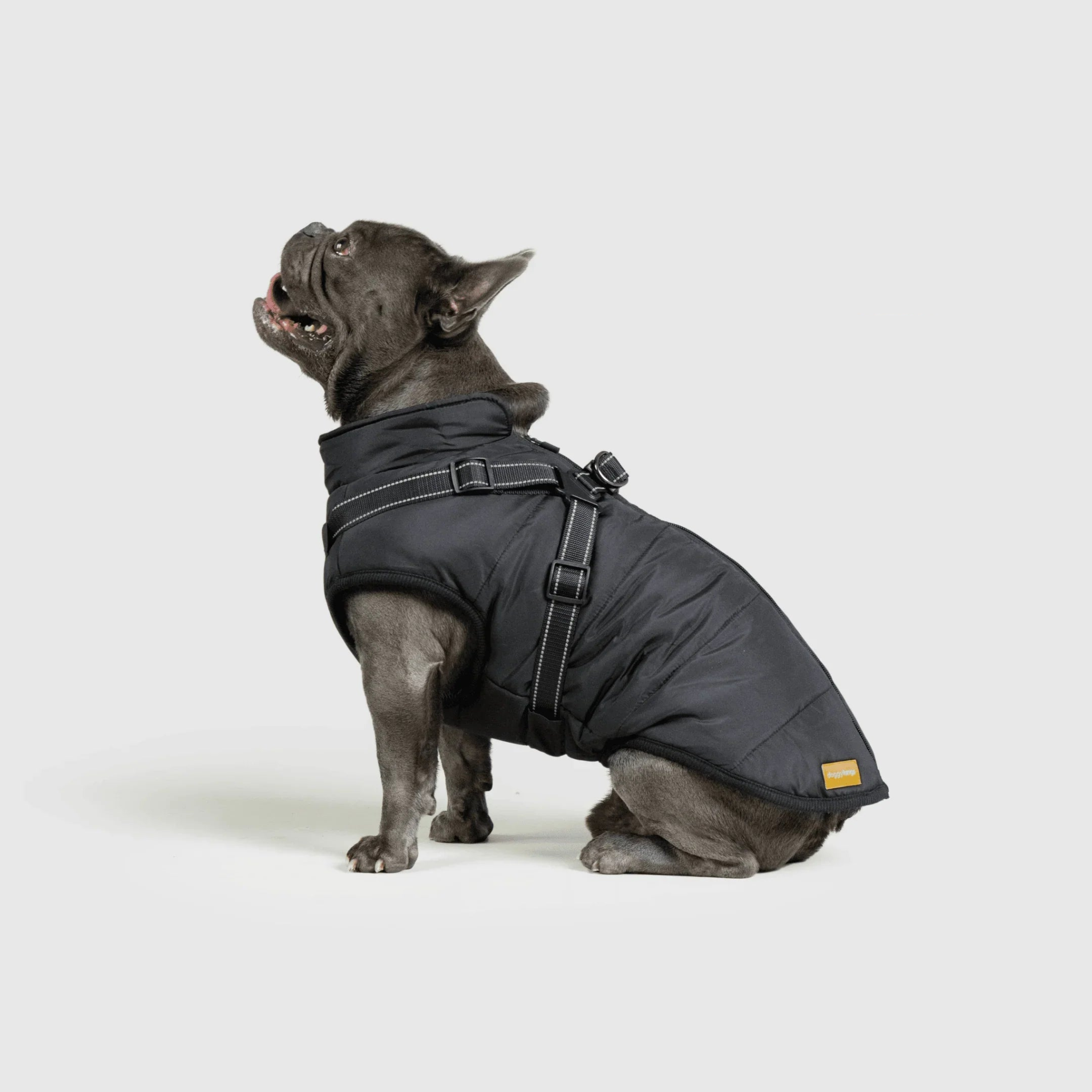 PawfectGuard™ 3-i-1 Hundejakke – Ultimat Beskyttelse, Stil & Komfort!