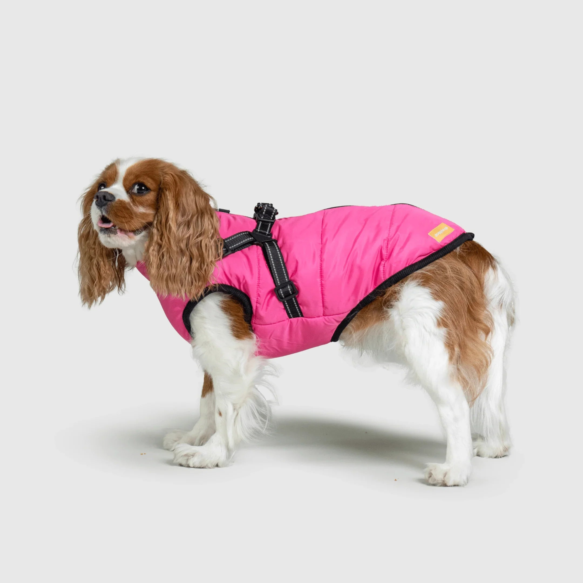 PawfectGuard™ 3-i-1 Hundejakke – Ultimat Beskyttelse, Stil & Komfort!