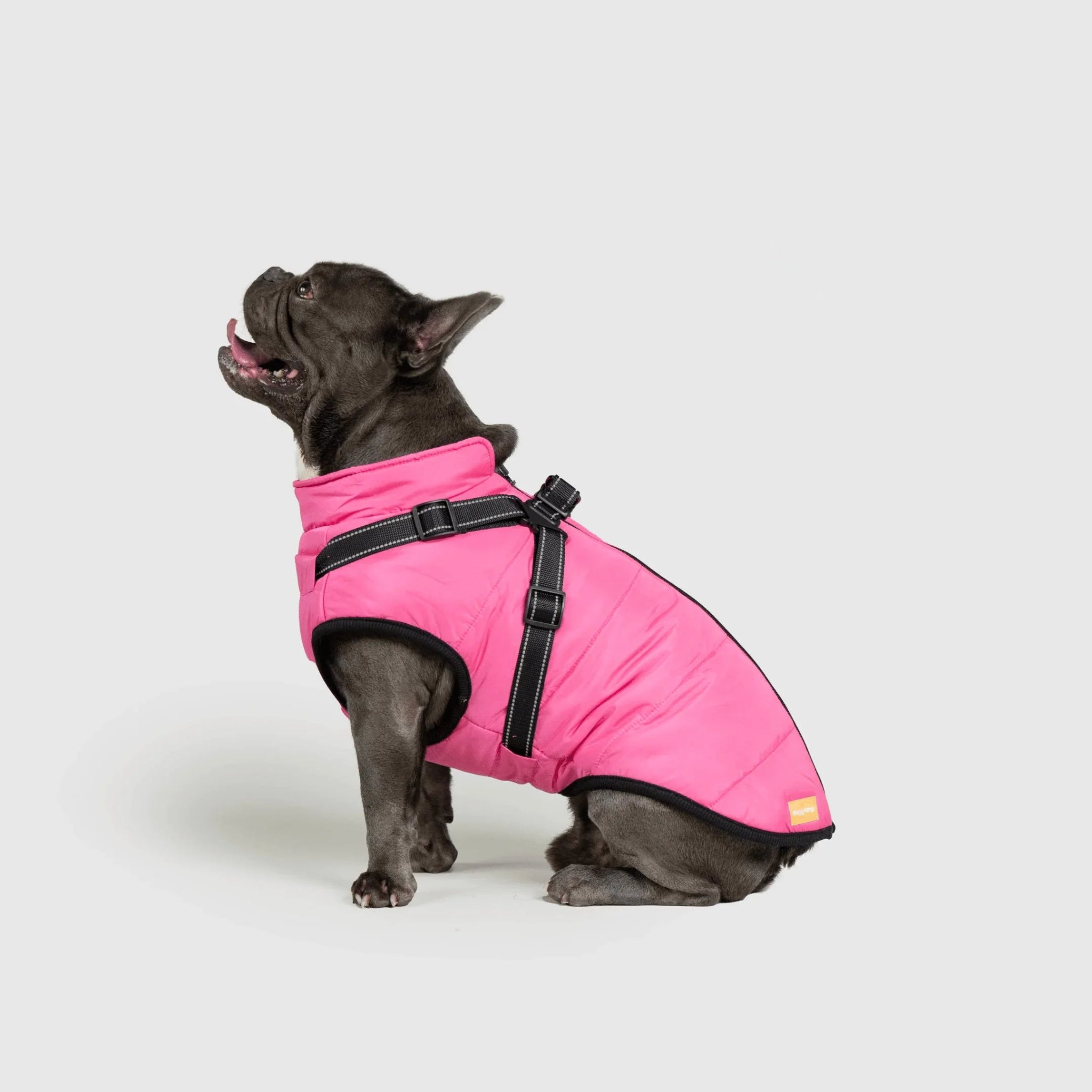 PawfectGuard™ 3-i-1 Hundejakke – Ultimat Beskyttelse, Stil & Komfort!