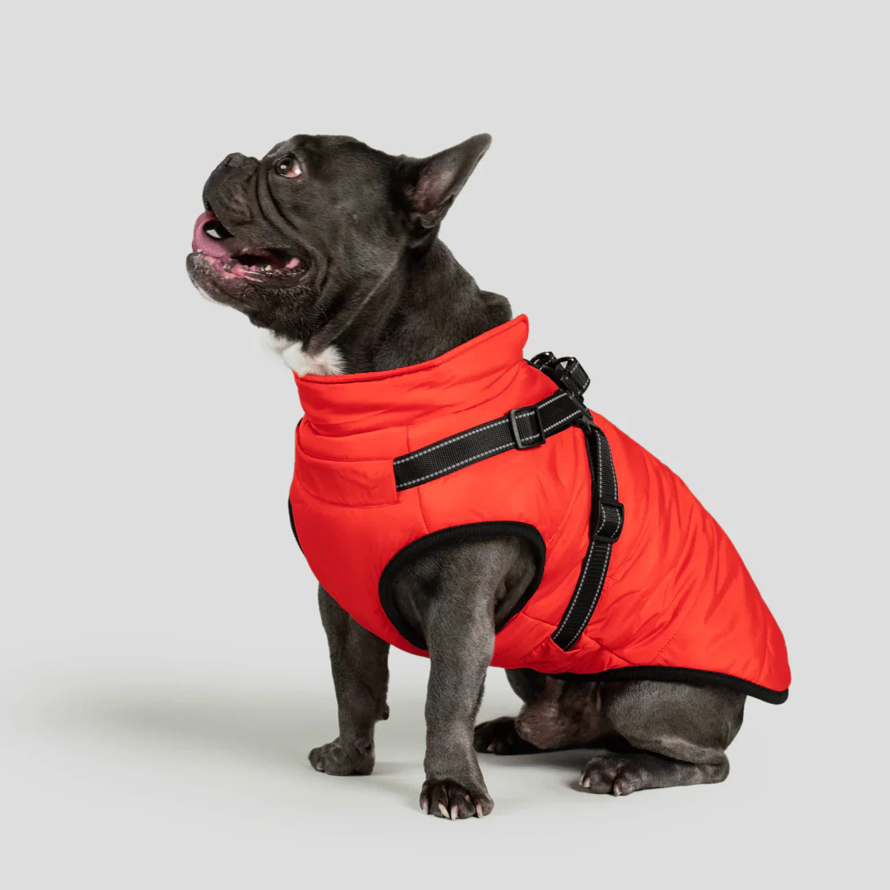PawfectGuard™ 3-i-1 Hundejakke – Ultimat Beskyttelse, Stil & Komfort!