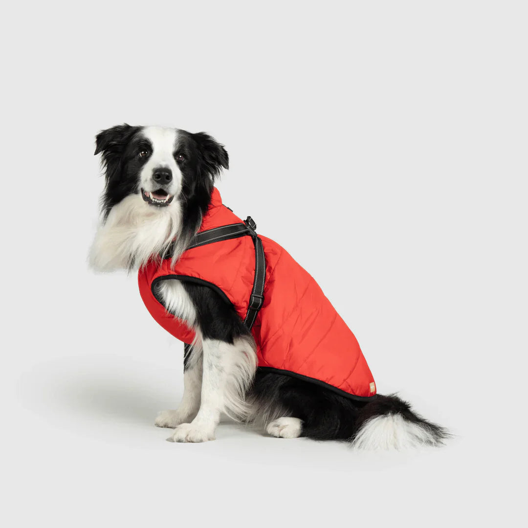 PawfectGuard™ 3-i-1 Hundejakke – Ultimat Beskyttelse, Stil & Komfort!