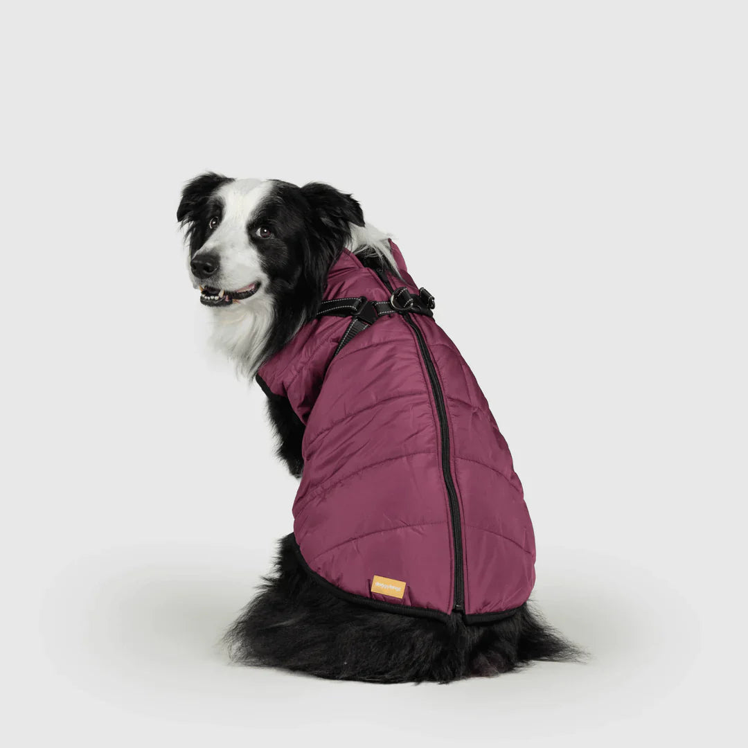 PawfectGuard™ 3-i-1 Hundejakke – Ultimat Beskyttelse, Stil & Komfort!