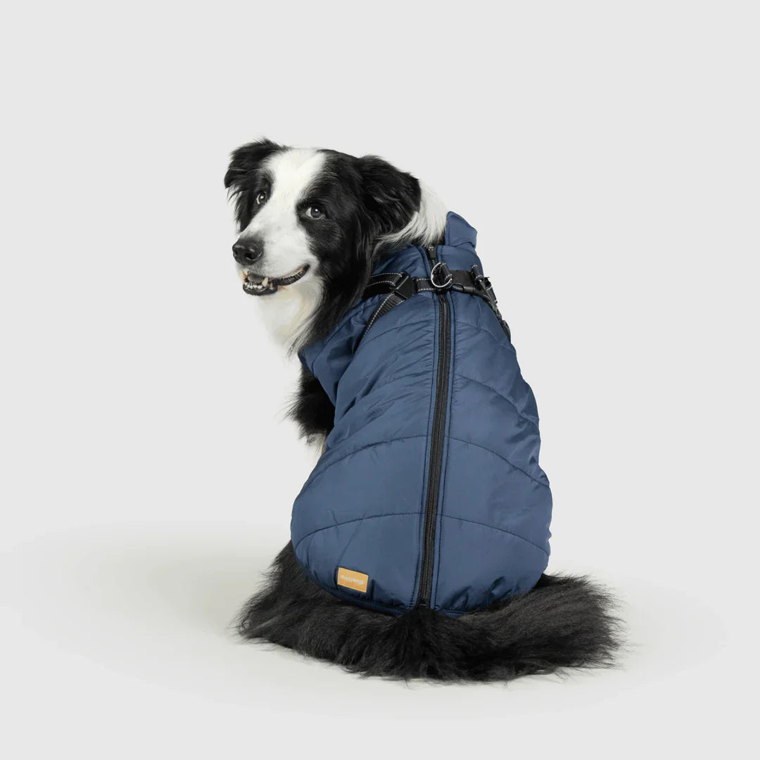 PawfectGuard™ 3-i-1 Hundejakke – Ultimat Beskyttelse, Stil & Komfort!
