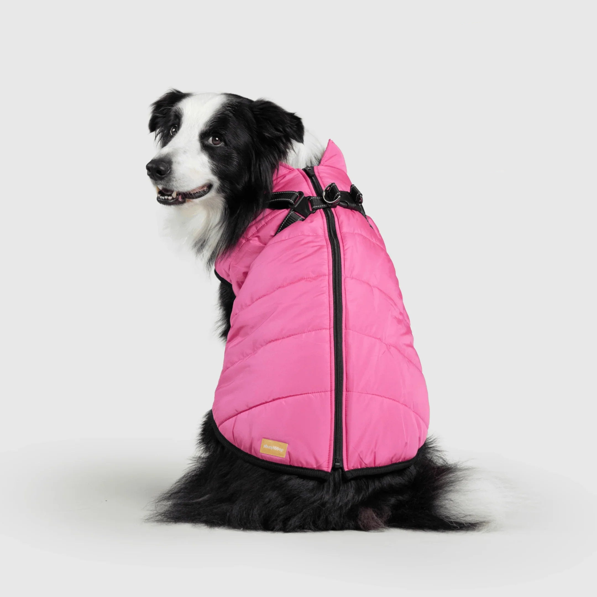 PawfectGuard™ 3-i-1 Hundejakke – Ultimat Beskyttelse, Stil & Komfort!