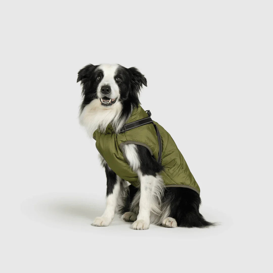 PawfectGuard™ 3-i-1 Hundejakke – Ultimat Beskyttelse, Stil & Komfort!