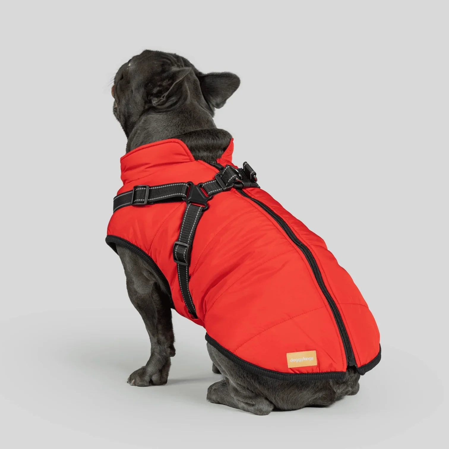 PawfectGuard™ 3-i-1 Hundejakke – Ultimat Beskyttelse, Stil & Komfort!