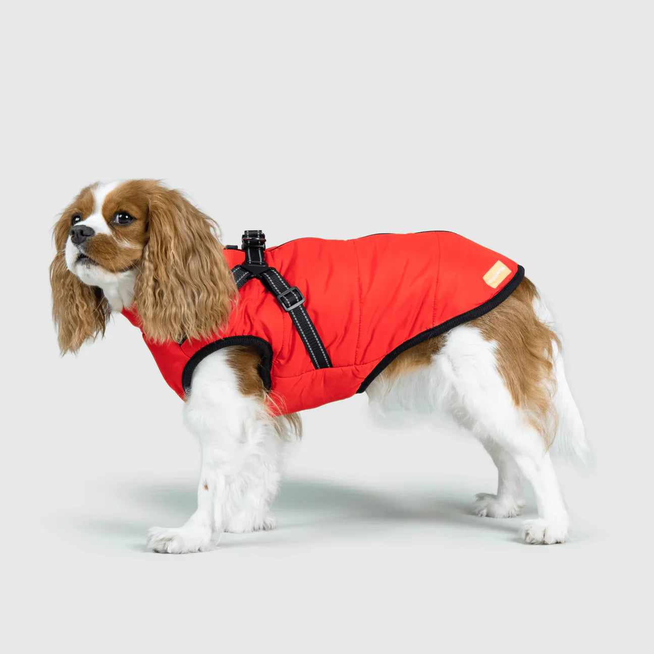 PawfectGuard™ 3-i-1 Hundejakke – Ultimat Beskyttelse, Stil & Komfort!
