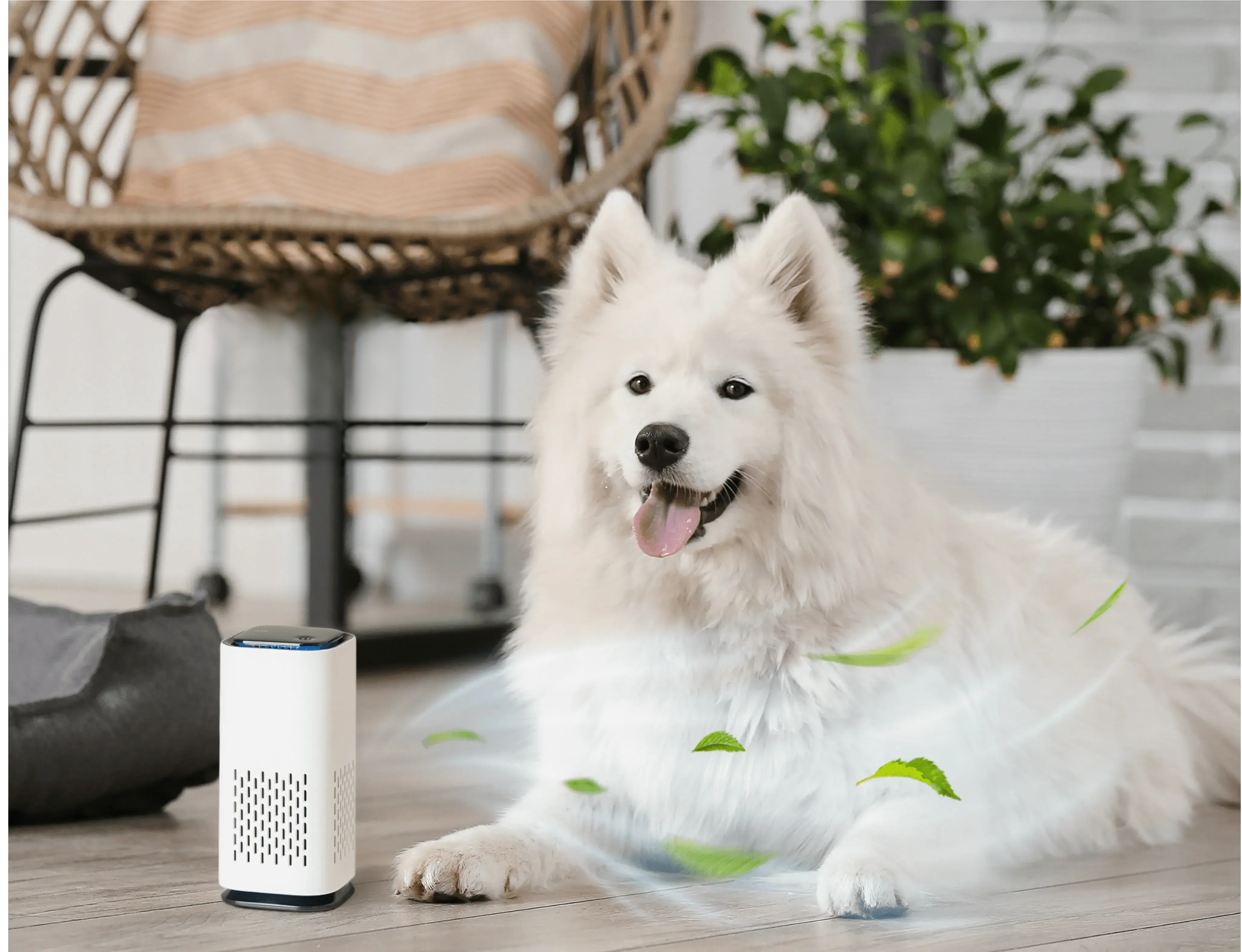Pet Air Purifier™ - luftrenser for kjæledyr