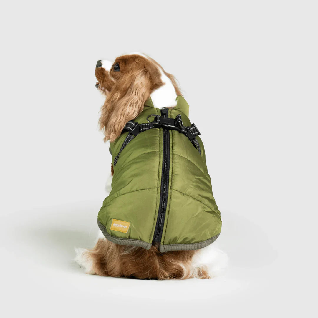 PawfectGuard™ 3-i-1 Hundejakke – Ultimat Beskyttelse, Stil & Komfort!