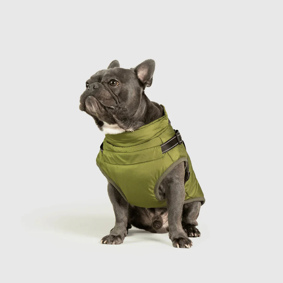 PawfectGuard™ 3-i-1 Hundejakke – Ultimat Beskyttelse, Stil & Komfort!