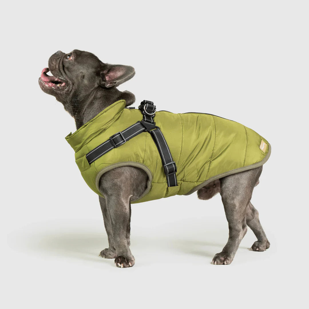 PawfectGuard™ 3-i-1 Hundejakke – Ultimat Beskyttelse, Stil & Komfort!