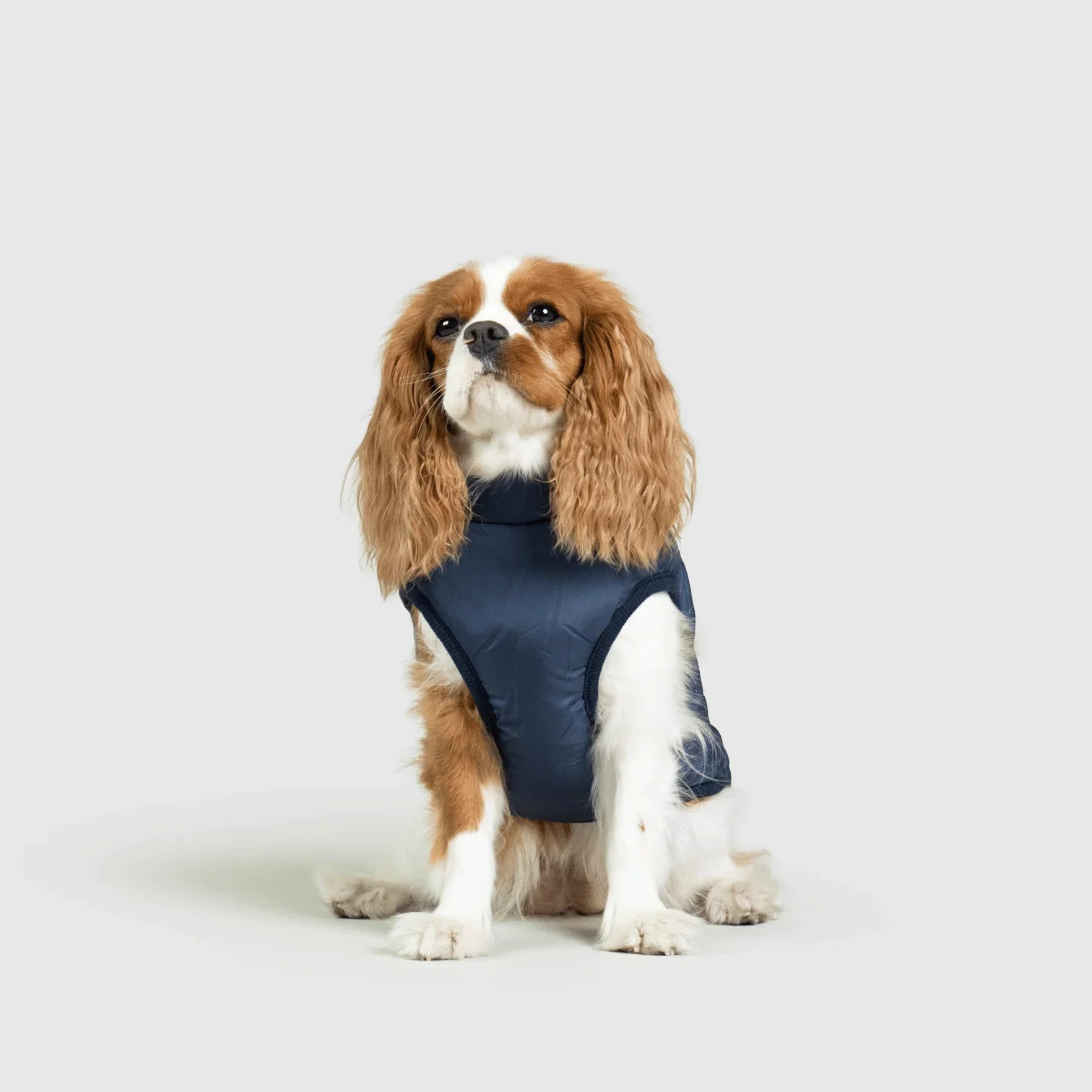 PawfectGuard™ 3-i-1 Hundejakke – Ultimat Beskyttelse, Stil & Komfort!
