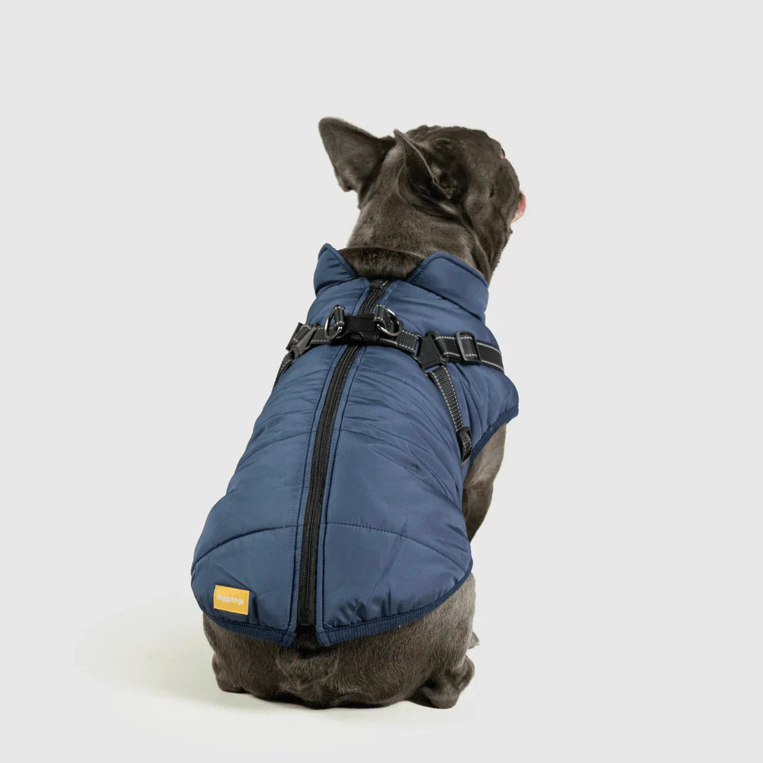 PawfectGuard™ 3-i-1 Hundejakke – Ultimat Beskyttelse, Stil & Komfort!
