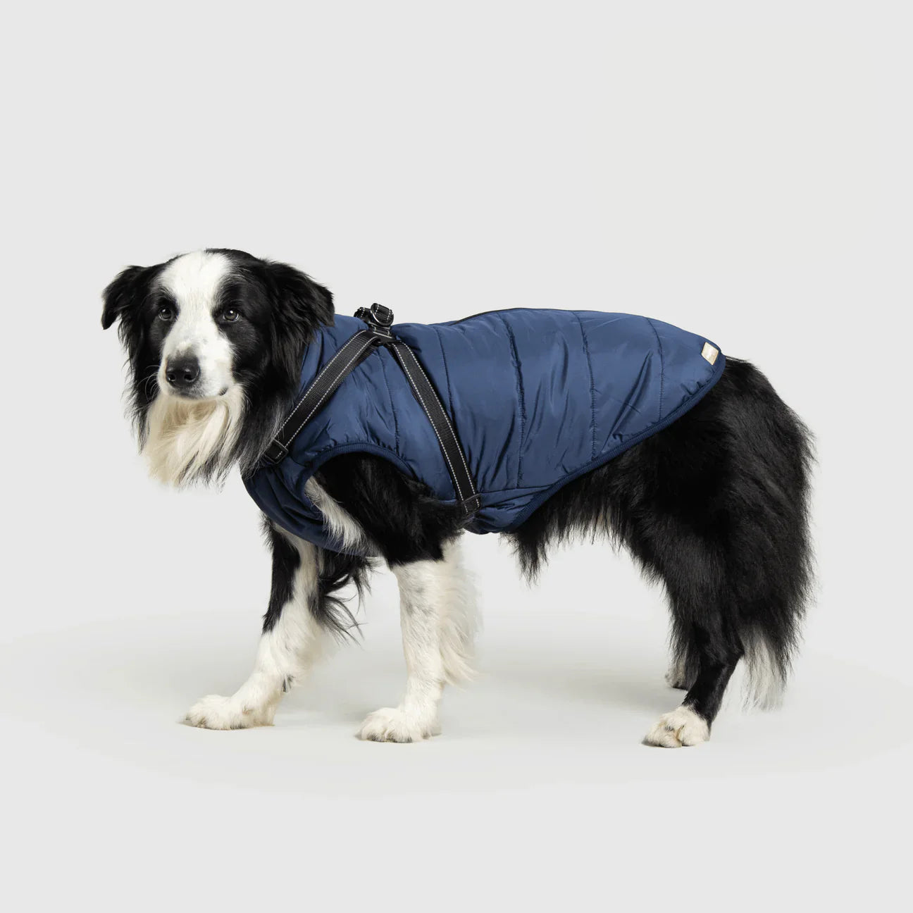 PawfectGuard™ 3-i-1 Hundejakke – Ultimat Beskyttelse, Stil & Komfort!
