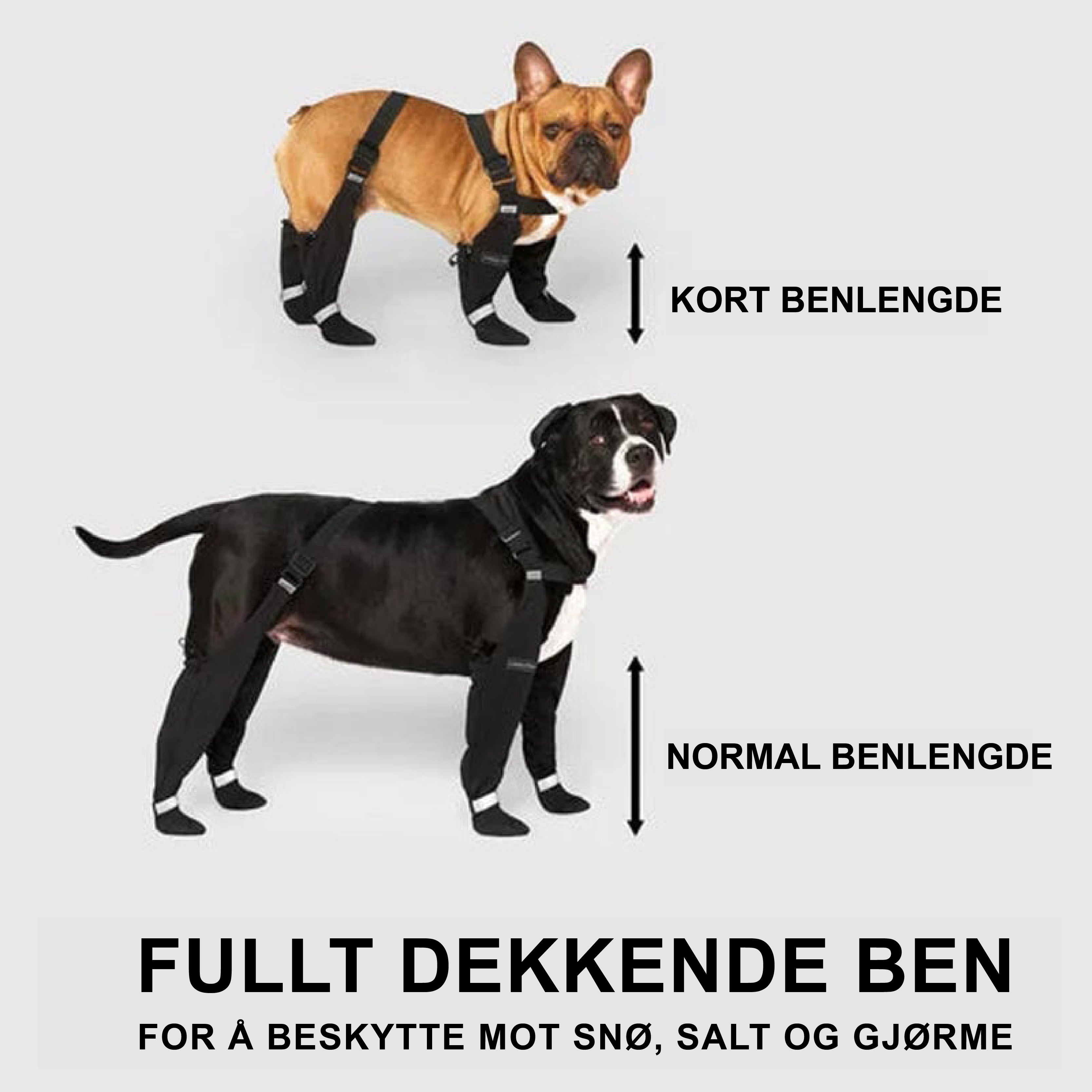 Hunder elsker det!
