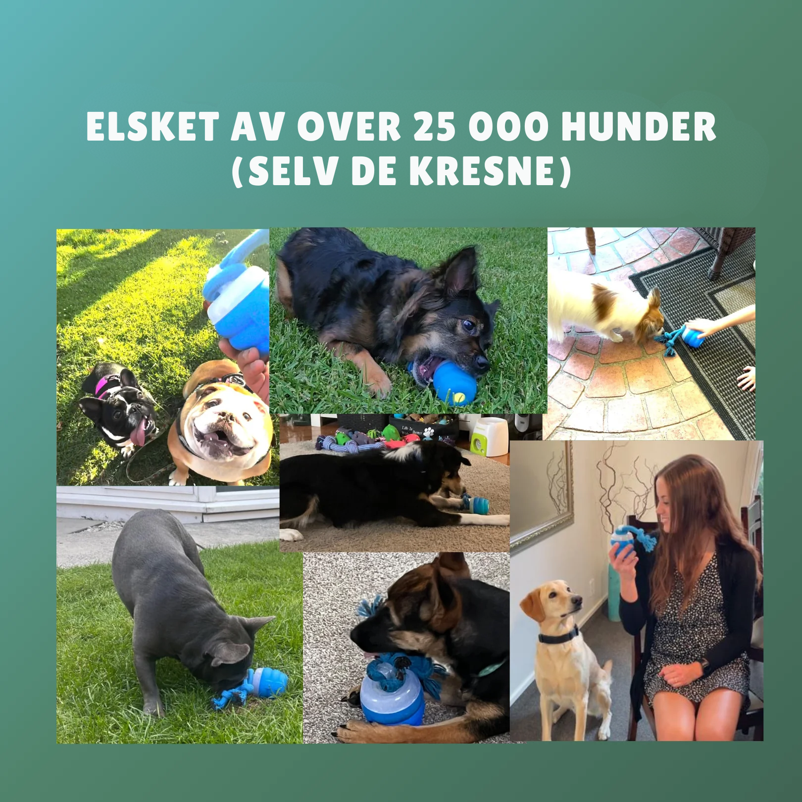 InstinctChase™ | Interaktiv hundejaktleke