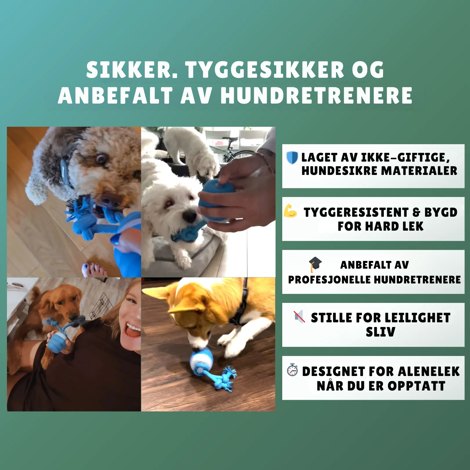 InstinctChase™ | Interaktiv hundejaktleke
