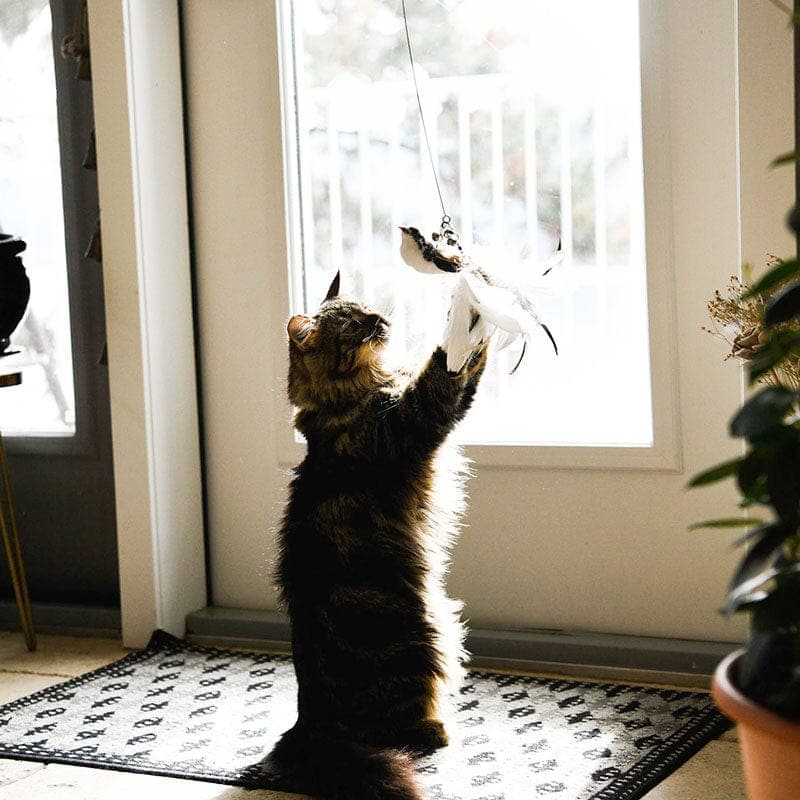 PurrChase Bird Toy – Interaktiv jaktsimulering for katter