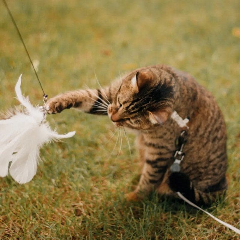 PurrChase Bird Toy – Interaktiv jaktsimulering for katter