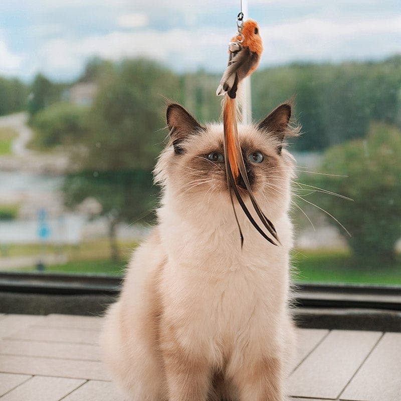 PurrChase Bird Toy – Interaktiv jaktsimulering for katter