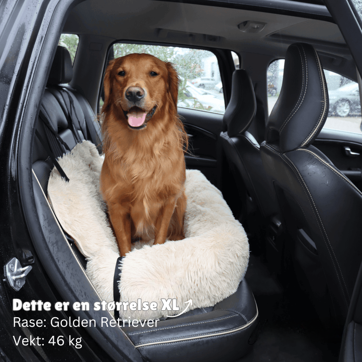 PlushPaws reiseseng - stressfrie bilturer for hunden din