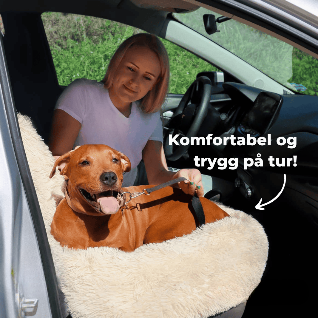 PlushPaws reiseseng - stressfrie bilturer for hunden din