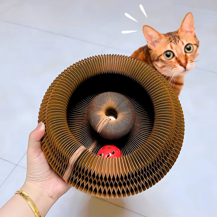 Catventure Toy