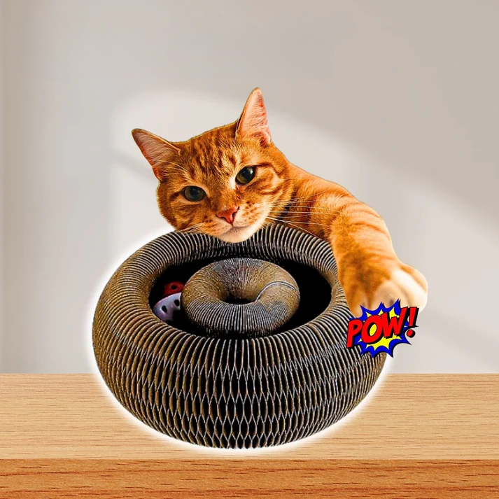 Catventure Toy
