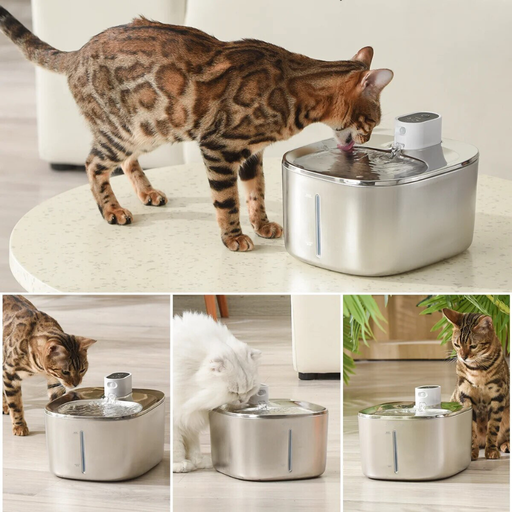 Sipurr™ | Kattfontene