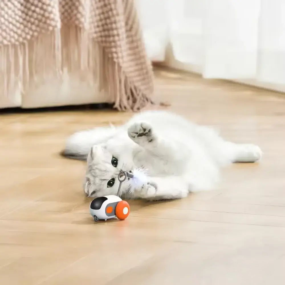 PurrBot 2.0 – Den ultimate lekekameraten for katten din