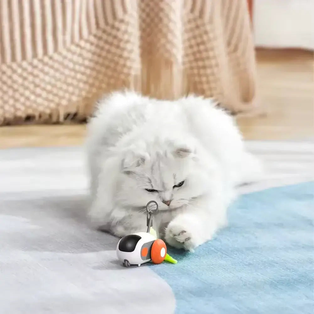 PurrBot 2.0 – Den ultimate lekekameraten for katten din