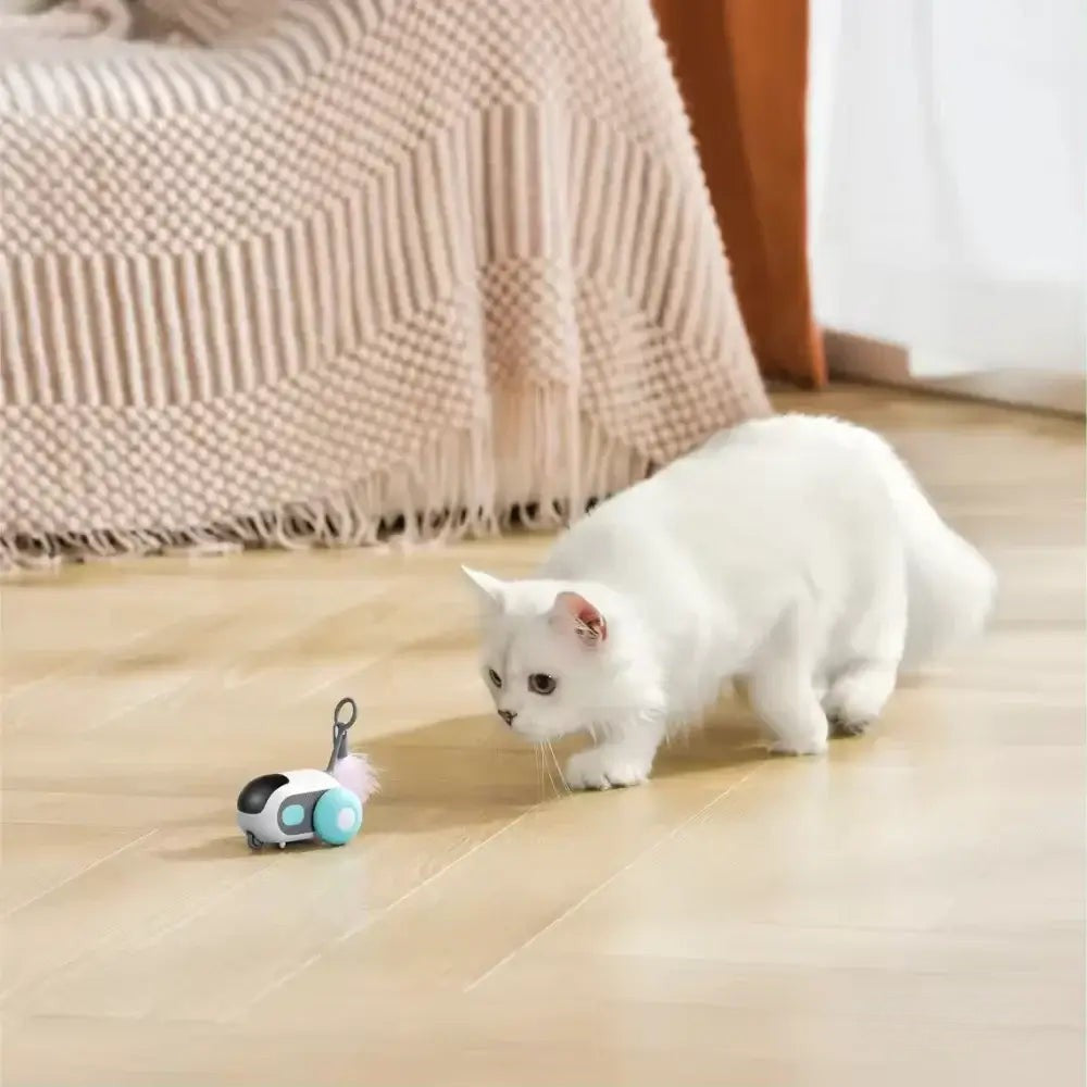 PurrBot 2.0 – Den ultimate lekekameraten for katten din
