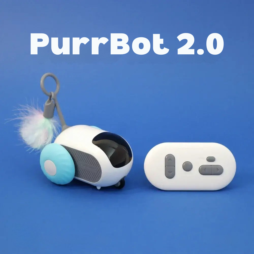 PurrBot 2.0 – Den ultimate lekekameraten for katten din