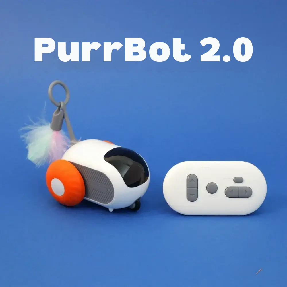 PurrBot 2.0 – Den ultimate lekekameraten for katten din