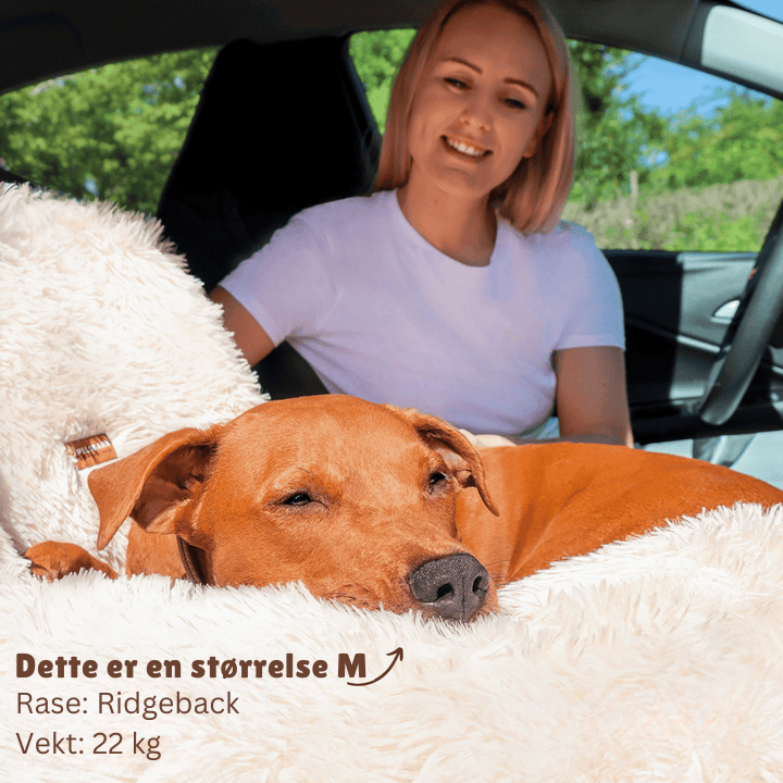 PlushPaws reiseseng - stressfrie bilturer for hunden din