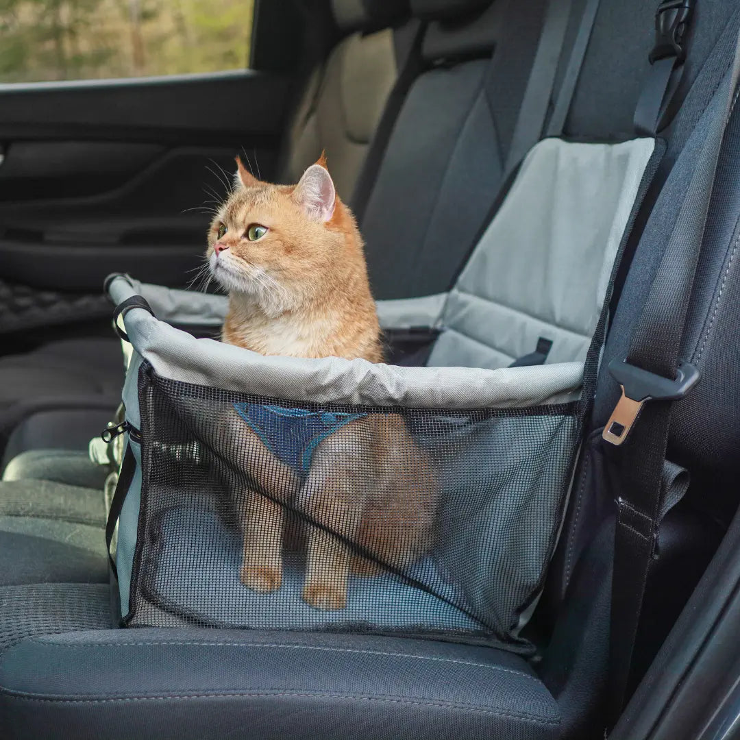 PurrfectRide™ Car Seat – Luftig komfort for små og mellomstore kjæledyr
