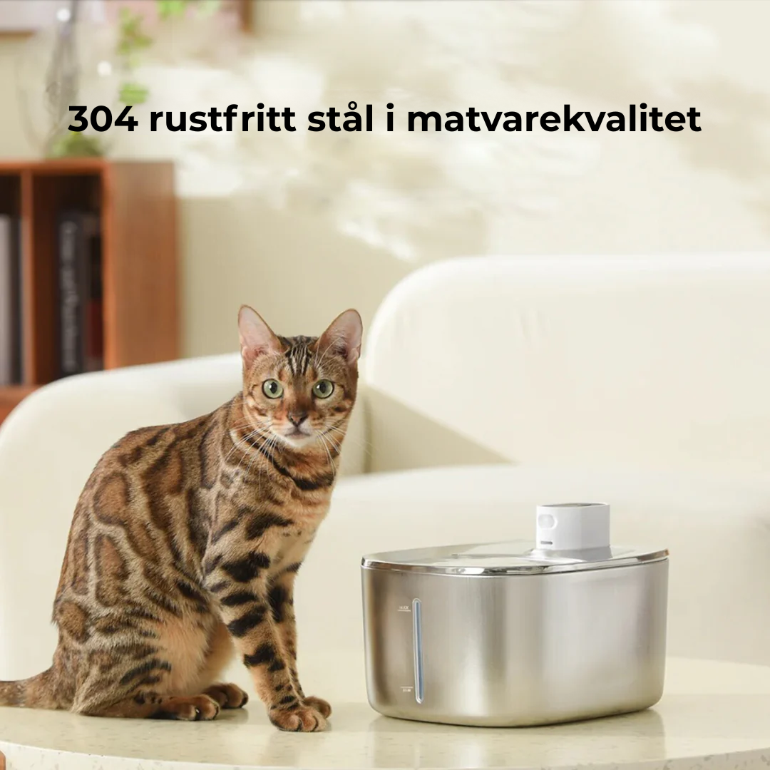 Sipurr™ | Kattfontene