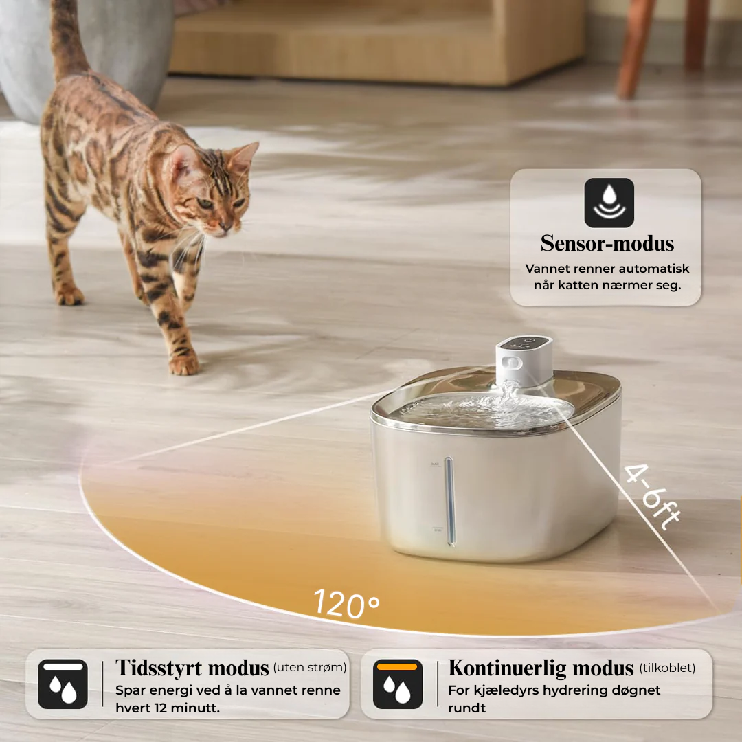 Sipurr™ | Kattfontene