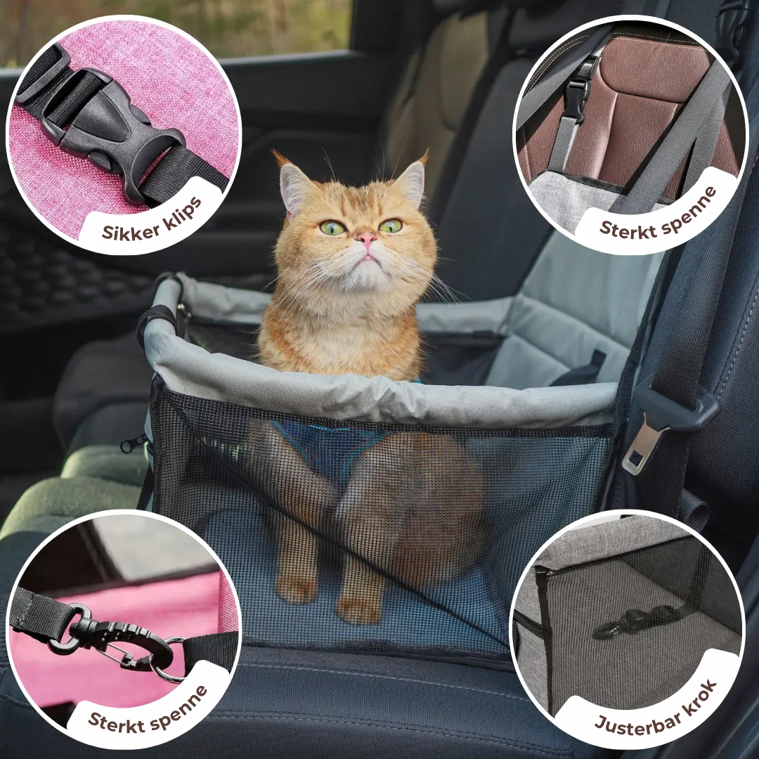 LoungePaw™ | Romslig kattebilstol