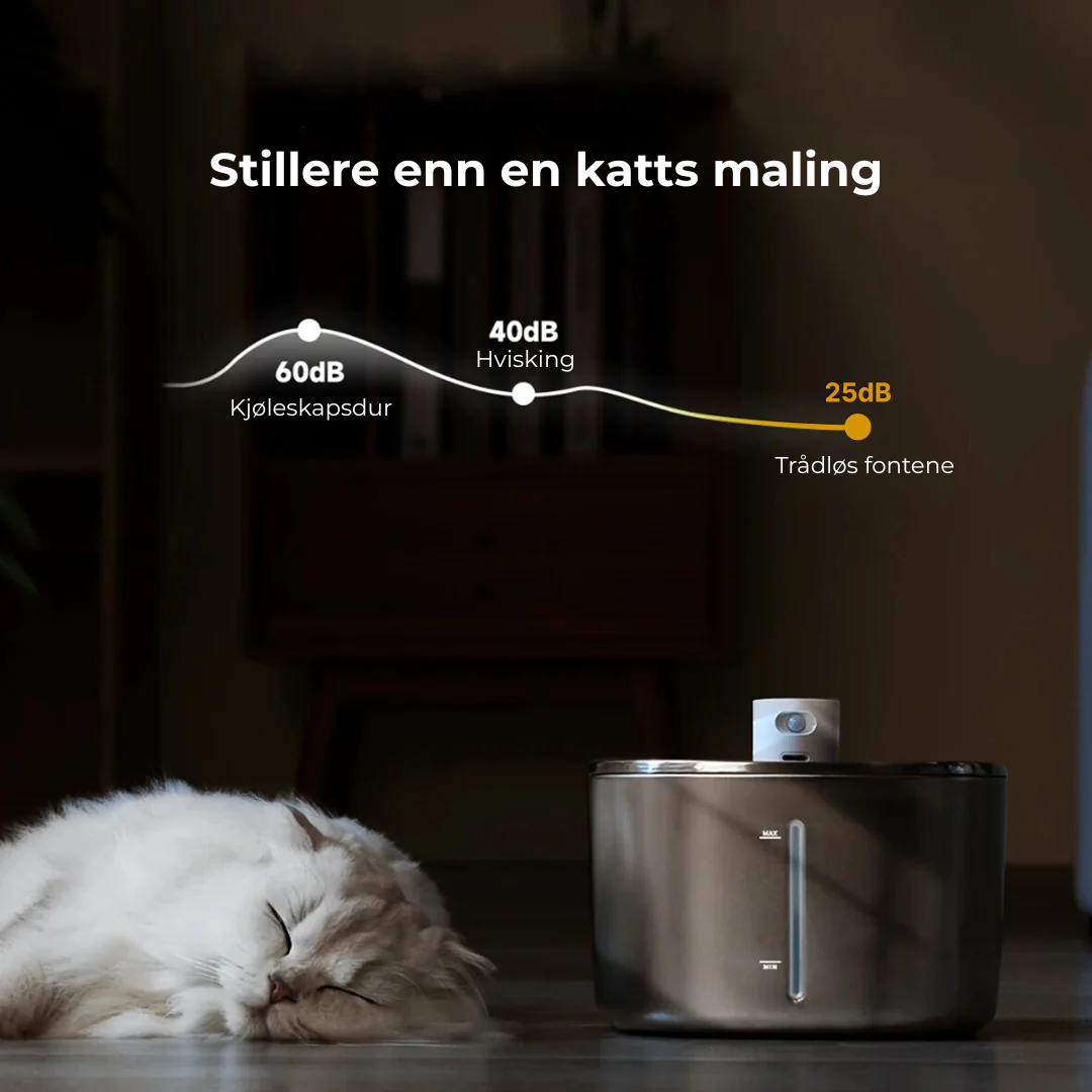 Sipurr™ | Kattfontene