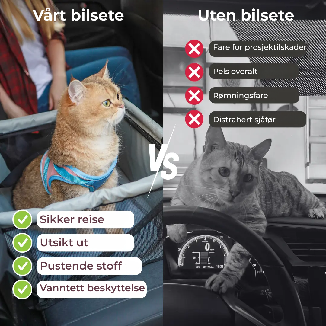 Romslig og pustende bilsete til kjæledyr