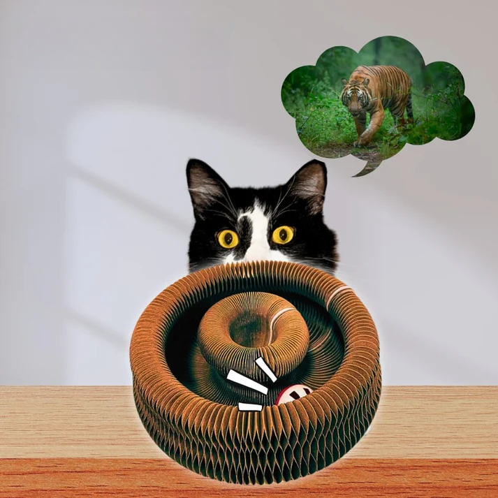 Catventure Toy