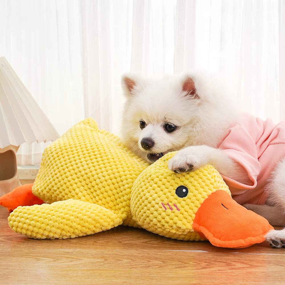 SnuggleQuack – Beroligende Lyder for en Stressfri Hund