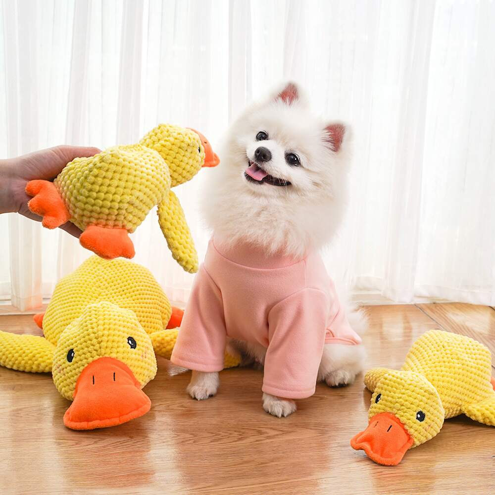 SnuggleQuack – Beroligende Lyder for en Stressfri Hund