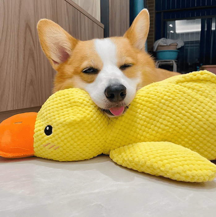 SnuggleQuack – Beroligende Lyder for en Stressfri Hund